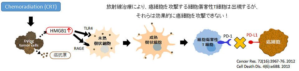 サーキット試験